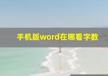 手机版word在哪看字数