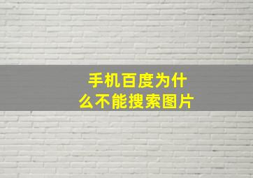 手机百度为什么不能搜索图片