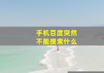 手机百度突然不能搜索什么