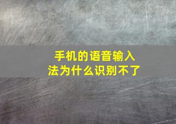 手机的语音输入法为什么识别不了