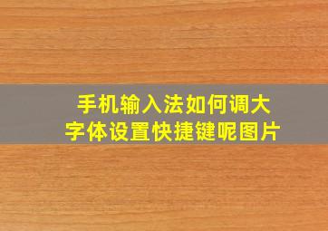 手机输入法如何调大字体设置快捷键呢图片