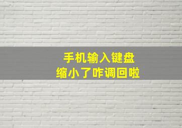 手机输入键盘缩小了咋调回啦