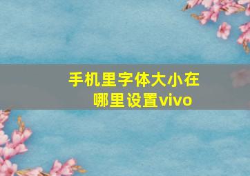 手机里字体大小在哪里设置vivo