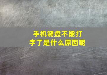 手机键盘不能打字了是什么原因呢