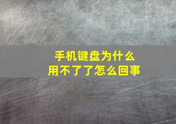 手机键盘为什么用不了了怎么回事