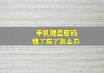 手机键盘密码锁了忘了怎么办