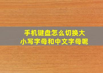 手机键盘怎么切换大小写字母和中文字母呢