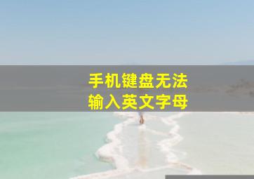 手机键盘无法输入英文字母