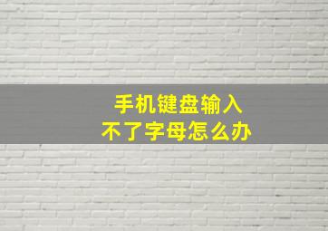 手机键盘输入不了字母怎么办