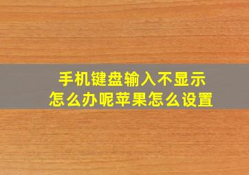 手机键盘输入不显示怎么办呢苹果怎么设置