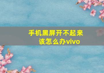 手机黑屏开不起来该怎么办vivo