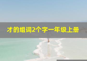 才的组词2个字一年级上册