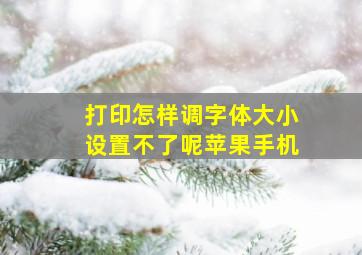 打印怎样调字体大小设置不了呢苹果手机