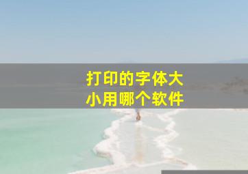 打印的字体大小用哪个软件