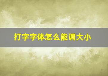 打字字体怎么能调大小