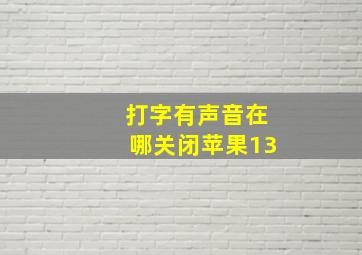 打字有声音在哪关闭苹果13