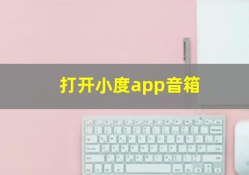 打开小度app音箱