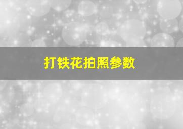 打铁花拍照参数