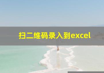 扫二维码录入到excel