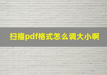 扫描pdf格式怎么调大小啊