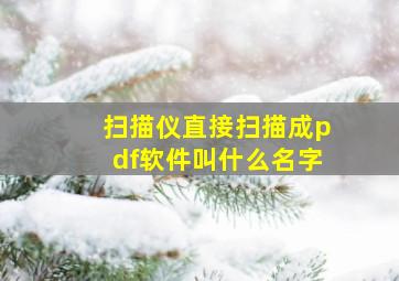 扫描仪直接扫描成pdf软件叫什么名字