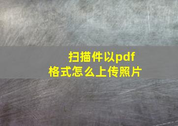 扫描件以pdf格式怎么上传照片