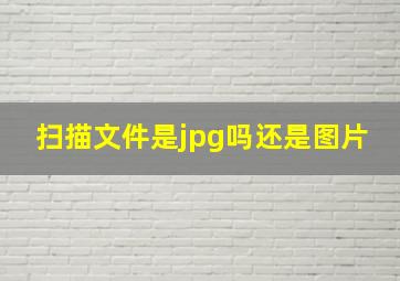 扫描文件是jpg吗还是图片