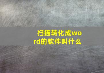 扫描转化成word的软件叫什么