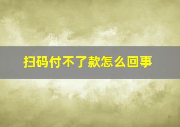 扫码付不了款怎么回事