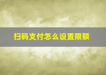 扫码支付怎么设置限额