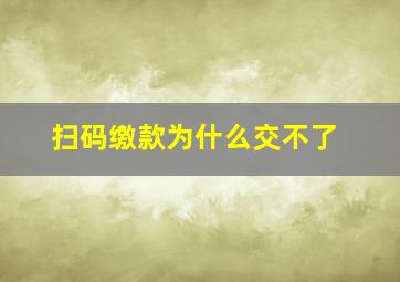 扫码缴款为什么交不了