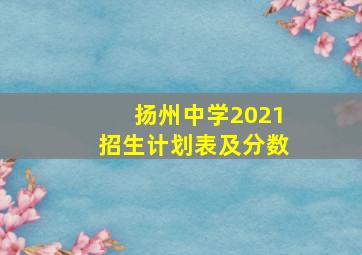 扬州中学2021招生计划表及分数