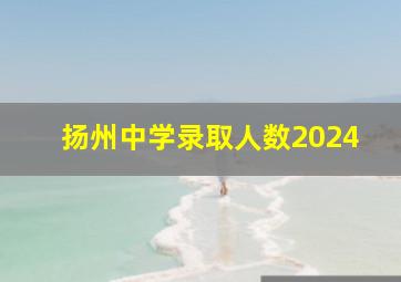 扬州中学录取人数2024