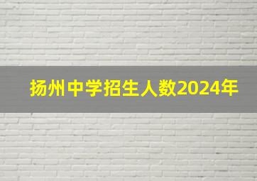 扬州中学招生人数2024年