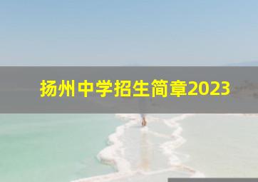 扬州中学招生简章2023