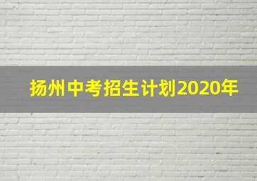 扬州中考招生计划2020年