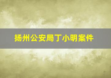 扬州公安局丁小明案件