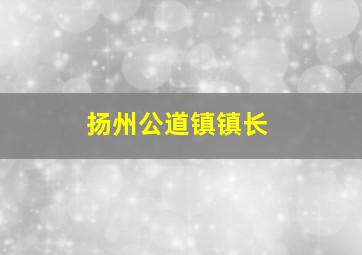 扬州公道镇镇长