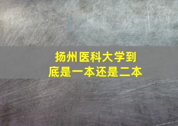 扬州医科大学到底是一本还是二本