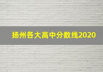 扬州各大高中分数线2020