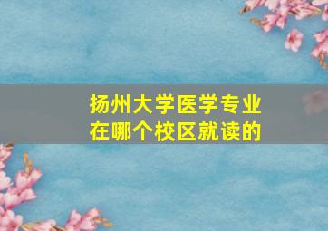 扬州大学医学专业在哪个校区就读的