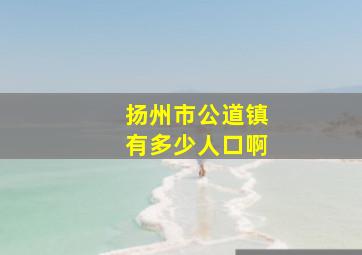 扬州市公道镇有多少人口啊