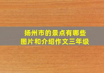 扬州市的景点有哪些图片和介绍作文三年级