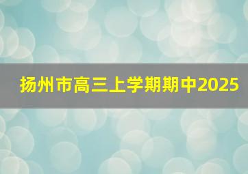 扬州市高三上学期期中2025