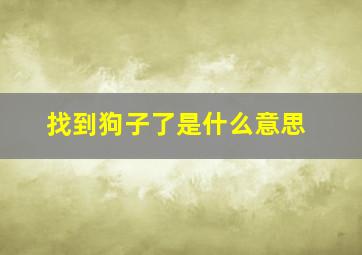 找到狗子了是什么意思