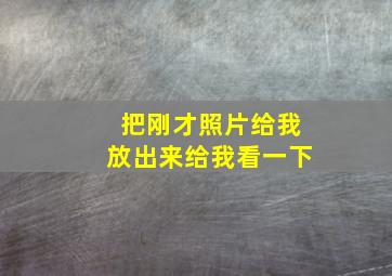 把刚才照片给我放出来给我看一下