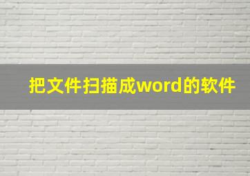 把文件扫描成word的软件