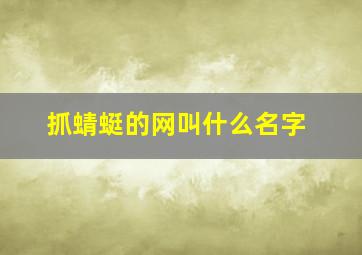 抓蜻蜓的网叫什么名字