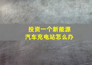 投资一个新能源汽车充电站怎么办