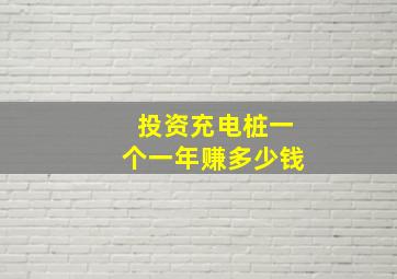 投资充电桩一个一年赚多少钱